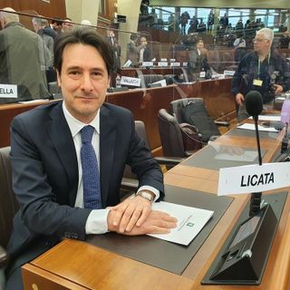 Crisi Beko, Licata (FI): «Dalla Regione più risorse per politiche attive del lavoro»