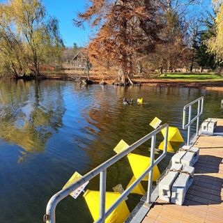 Per proteggere l'Isolino Virginia arrivano le boe