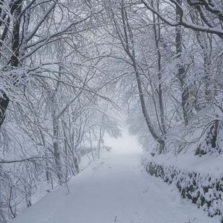 Le immagini pubblicate dalla Società Astronomica Schiaparelli