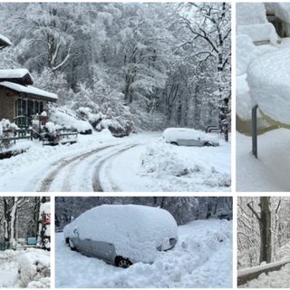 Una magica cartolina di un Campo dei Fiori avvolto dalla neve
