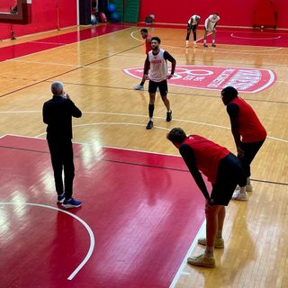 Varese verso Treviso, Kastritis non vuol sentir parlare di Coppa Italia: «Pensiamo a giocare bene ogni possesso»