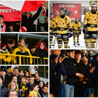 In 1.100 per Varese-Alleghe, compresi i calorosissimi tifosi delle Civette. Ed è solo l'antipasto dei playoff (foto Alberto Bernasconi)