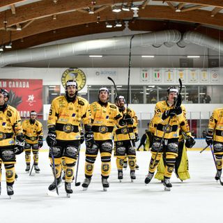 Mastini, via al sogno playoff: ecco le modalità per l'acquisto dei biglietti