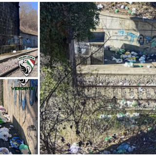 Il materiale rinvenuto dalla polizia locale di Vergiate