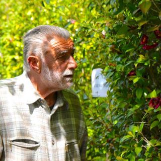 Il cavalier Enrico "Chicco" Gasparini nel suo labirinto delle camelie a Laveno