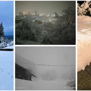 Da sinistra in senso orario il manto bianco immacolato del viale delle cappelle al Sacro Monte, il paesaggio incantato del Brinzio (foto Lucy) con i 30 centimetri accumulati (foto Pietro Marè - NaturalMeteo) e Macugnaga sommersa al risveglio
