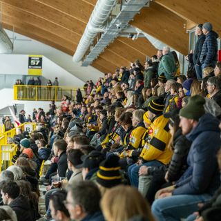 Semifinale con l'Aosta, la grande attesa: prezzi dei biglietti e prelazione per gli abbonati, ecco come spingere i Mastini in gara 2