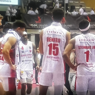 Varese sconsolata a Trieste
