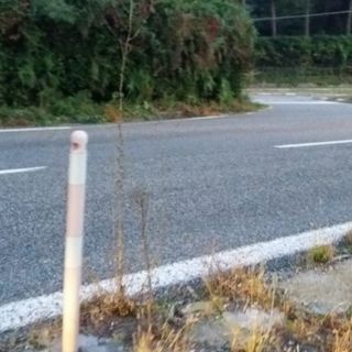 Un tratto della superstrada 629