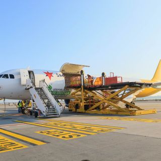 21 tonnellate di cibo: vola la solidarietà del personale Sea per l'Ucraina