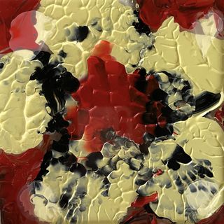 Giorgio Piccaia e Melania Rocca. Sotto: Formella in plexiglass Myosotis