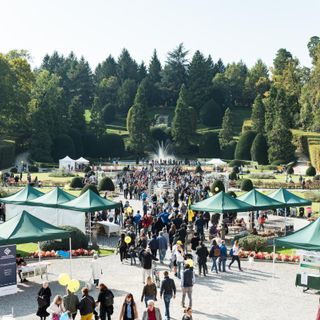 L'agricoltura si presenta e fa bella la città: domenica torna AgriVarese