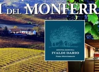 Vuoi regalare un vino di qualità per Natale? Scegli la cantina Ivaldi!