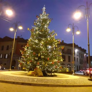 Il grande Albero di Natale del 2022 in piazza 1° Maggio a Besozzo