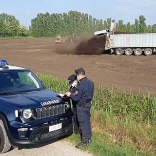 Il bilancio del 2021 dei Carabinieri Forestali della Lombardia: 1256 le persone denunciate, 11 gli arresti. Le multe comminate superano i 9 milioni di euro