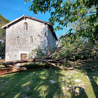 L'albero davanti all'ingresso del santuario del San Clemente a Caravate abbattuto dal maltempo