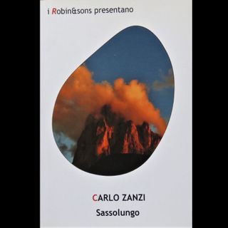 La copertina del libro di Carlo Zanzi