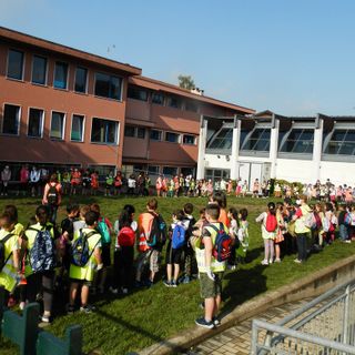 Strade e boschi ripuliti da 450 studenti: sconfitti ancora una volta gli incivili
