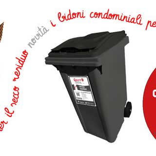 Ai condomini con cinque o più unità abitative i cassonetti per la raccolta del residuo secco