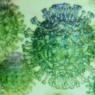 Positivo al test del Coronavirus un cittadino di Solbiate Olona