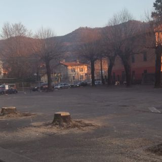 I tigli abbattuti in piazza Mercato a Cuveglio