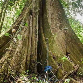 Un film, un’esperienza immersiva e un aperitivo con i professori dell’Insubria per parlare di biodiversità e uso sostenibile delle risorse