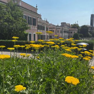 Offerta di lavoro dal Comune di Varese: Palazzo Estense cerca un geometra a tempo pieno