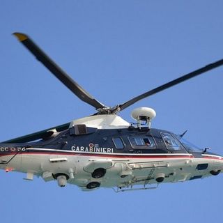 Controlli anti droga nei boschi di Tradate, Castiglione Olona e Carnago