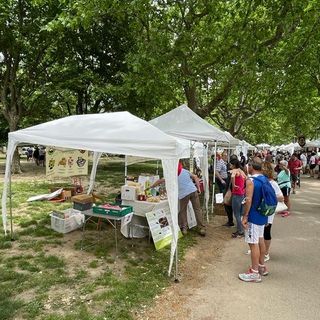 CHE FARE NEL WEEKEND - Tre giorni tra fragole, asparagi, escursioni e laboratori per bambini