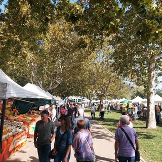 Alcuni scatti della Festa della Zucca sul lungolago di Gavirate di domenica 8 ottobre