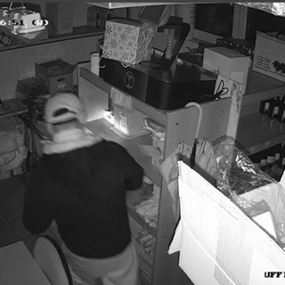 Le immagini delle telecamere interne a Villa Cocca che hanno ripreso il ladro giovedì mattina