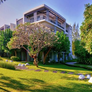  Giardino condominiale: chi se ne prende cura?