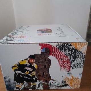 I Mastini gialloneri al Balthazar in the park di Villa Mirabello per ricevere l'abbraccia della città e dei tifosi