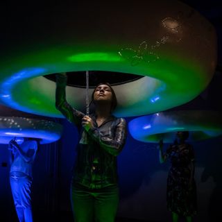 Savigliano ospita la cornice dell'esposizione multisensoriale