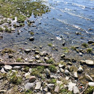 Siccità: la &quot;magra&quot; invernale non regala ottimismo, anche se il livello del lago Maggiore registra un lieve incremento