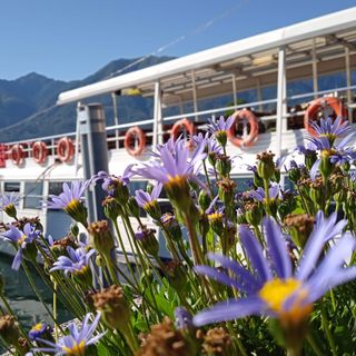 La “vacanza di prossimità” premia il Lago Maggiore