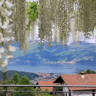 "Un quadro in vetrina", le Sempiterne e il Piccio incorniciano l'arte del lago a Luino