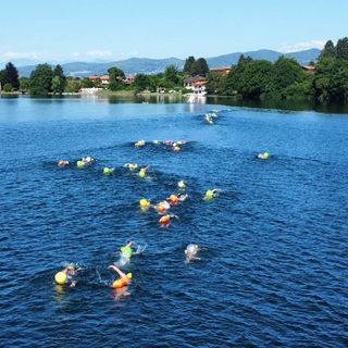 VIDEO. La traversata a nuoto del lago di Monate sempre più internazionale e domenica arriva la Gavirate-Schiranna e la notturna di Bodio