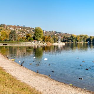 Risanamento del lago di Varese: individuato il logo del progetto grazie alla collaborazione del liceo Frattini