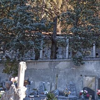 I cipressi danneggiati al cimitero di Laveno (foto dalla pagina Facebook del Comune)
