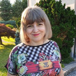 Le perplessità della minoranza di Centrosinistra sul nuovo collegamento ciclopedonale tra Laveno e Cerro