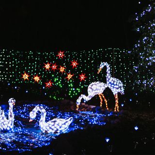 Una delle installazioni degli anni scorsi delle Lucine di Natale di Leggiuno