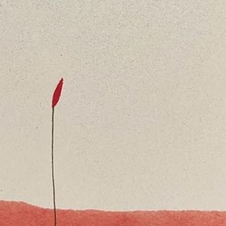 Dettaglio della copertina de "La linfa del pericolo", ultimo libro di Katia Catalano