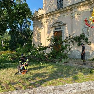 Crollo dell'albero a Luino: «Ricordo quel maledetto giorno e non lo dimenticherò mai»
