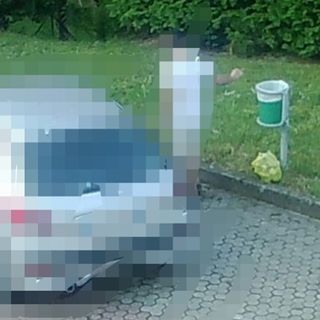 Luvinate, pizzicato con le fototrappole e multato un "furbetto" dei rifiuti abbandonati