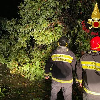 Maltempo a Luvinate, in azione Protezione Civile e Alpini per rimuovere gli alberi caduti nelle vie Cavour e San Vito