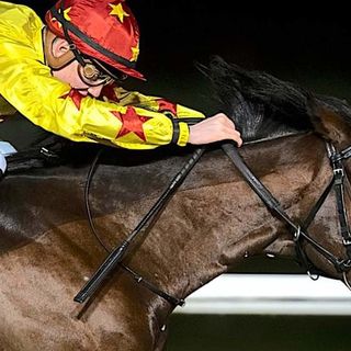 Una serata anti-caldo? Alle Bettole (ingresso gratuito) con il memorial Marcialis e molto di più