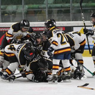 Nelle fotografie di Raissa Fontana l'emozione dei piccoli Mastini e dei loro genitori al secondo Memorial Ciaz di Torre Pellice