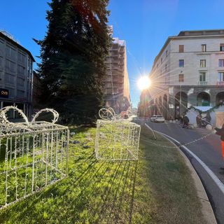 FOTO. Il Natale varesino scalda i motori: al via l'allestimento dell'albero in piazza Monte Grappa. Dal fine settimana sarà magia