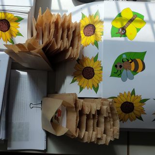 Tutelare api e farfalle, i kit didattici del Parco Pineta nelle scuole del territorio